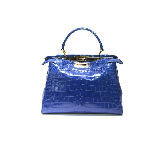 It bag FENDI